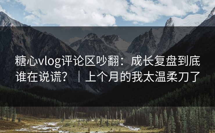 糖心vlog评论区吵翻：成长复盘到底谁在说谎？｜上个月的我太温柔刀了