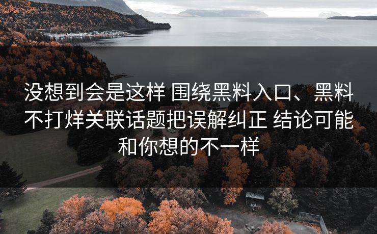 没想到会是这样 围绕黑料入口、黑料不打烊关联话题把误解纠正 结论可能和你想的不一样