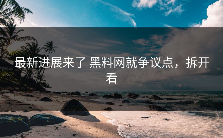 最新进展来了 黑料网就争议点，拆开看