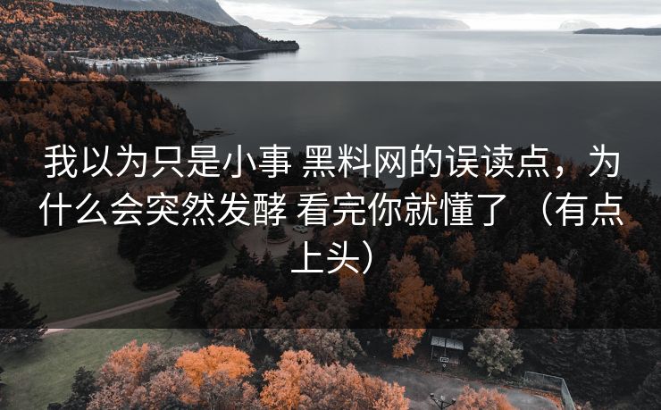 我以为只是小事 黑料网的误读点，为什么会突然发酵 看完你就懂了 （有点上头）