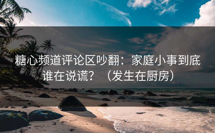 糖心频道评论区吵翻：家庭小事到底谁在说谎？（发生在厨房）