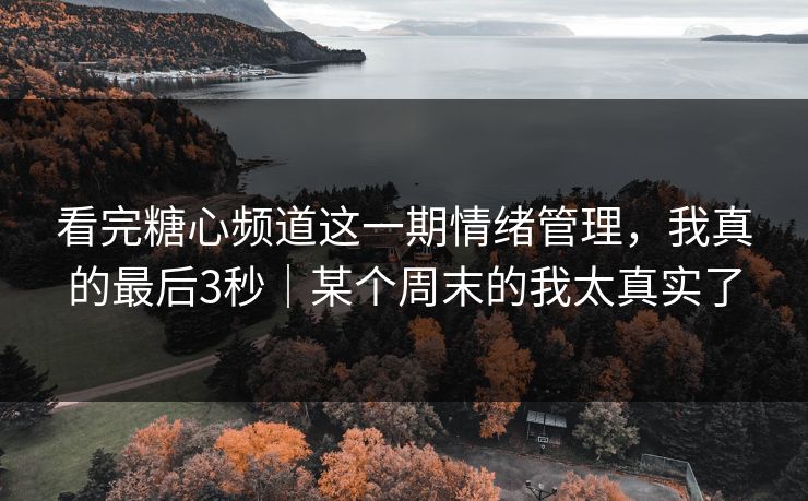 看完糖心频道这一期情绪管理，我真的最后3秒｜某个周末的我太真实了