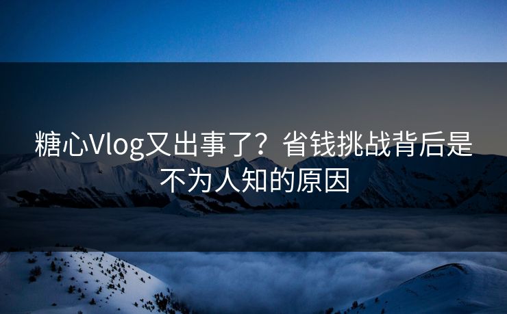 糖心Vlog又出事了？省钱挑战背后是不为人知的原因
