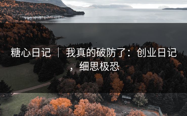 糖心日记 ｜ 我真的破防了：创业日记，细思极恐