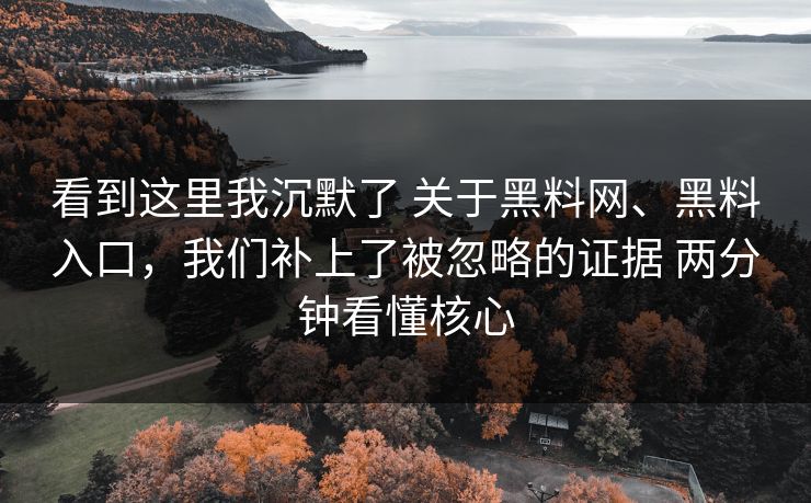 看到这里我沉默了 关于黑料网、黑料入口，我们补上了被忽略的证据 两分钟看懂核心