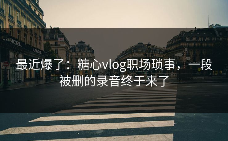 最近爆了：糖心vlog职场琐事，一段被删的录音终于来了