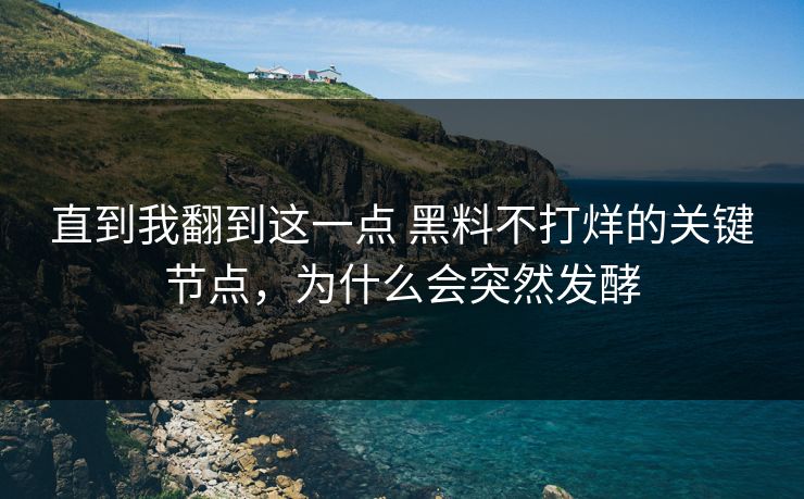 直到我翻到这一点 黑料不打烊的关键节点，为什么会突然发酵