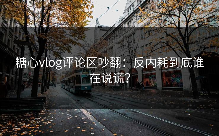 糖心vlog评论区吵翻：反内耗到底谁在说谎？