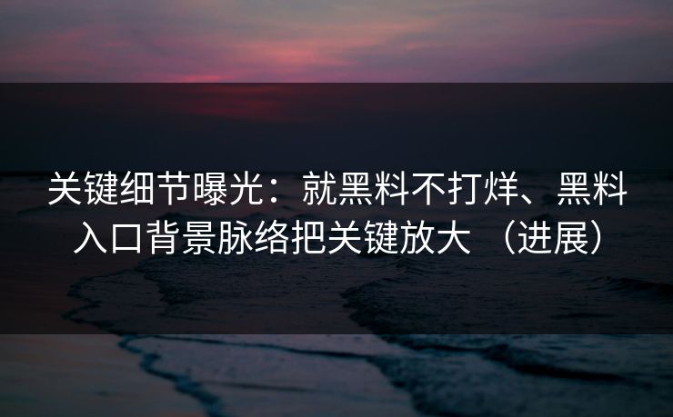 关键细节曝光：就黑料不打烊、黑料入口背景脉络把关键放大 （进展）