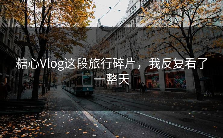 糖心Vlog这段旅行碎片，我反复看了一整天