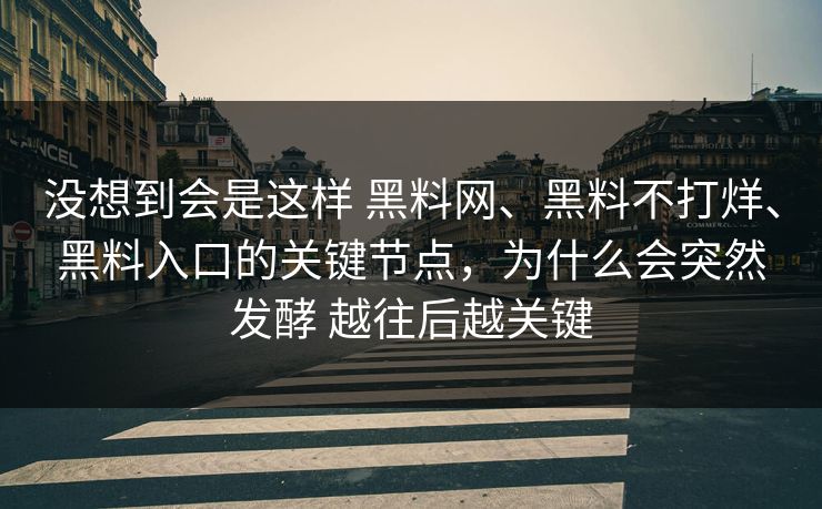 没想到会是这样 黑料网、黑料不打烊、黑料入口的关键节点，为什么会突然发酵 越往后越关键