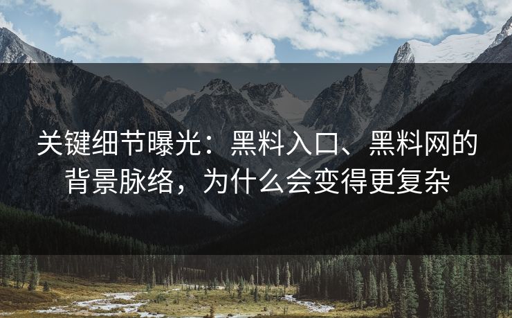 关键细节曝光：黑料入口、黑料网的背景脉络，为什么会变得更复杂